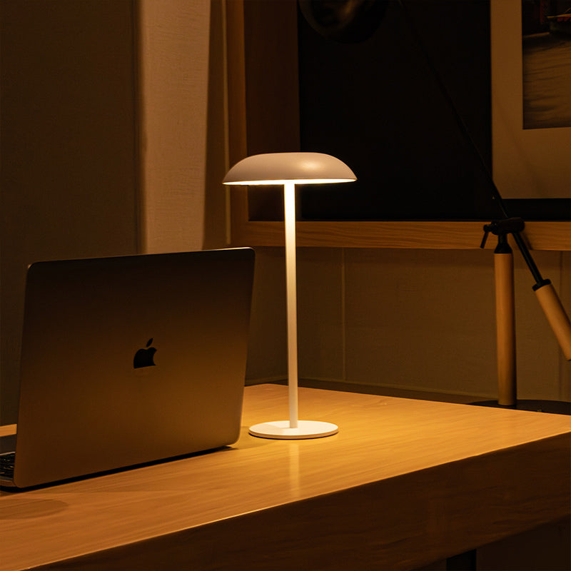 Eisen-Elegantie-Lamp