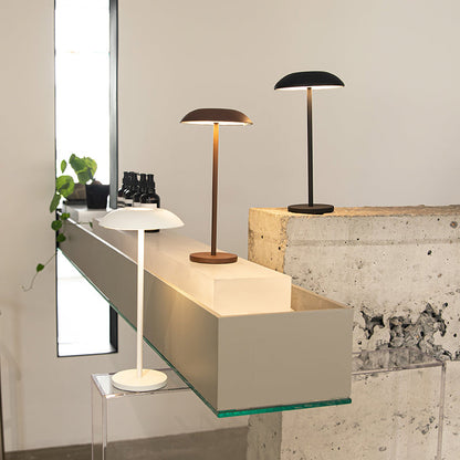 Eisen-Elegantie-Lamp
