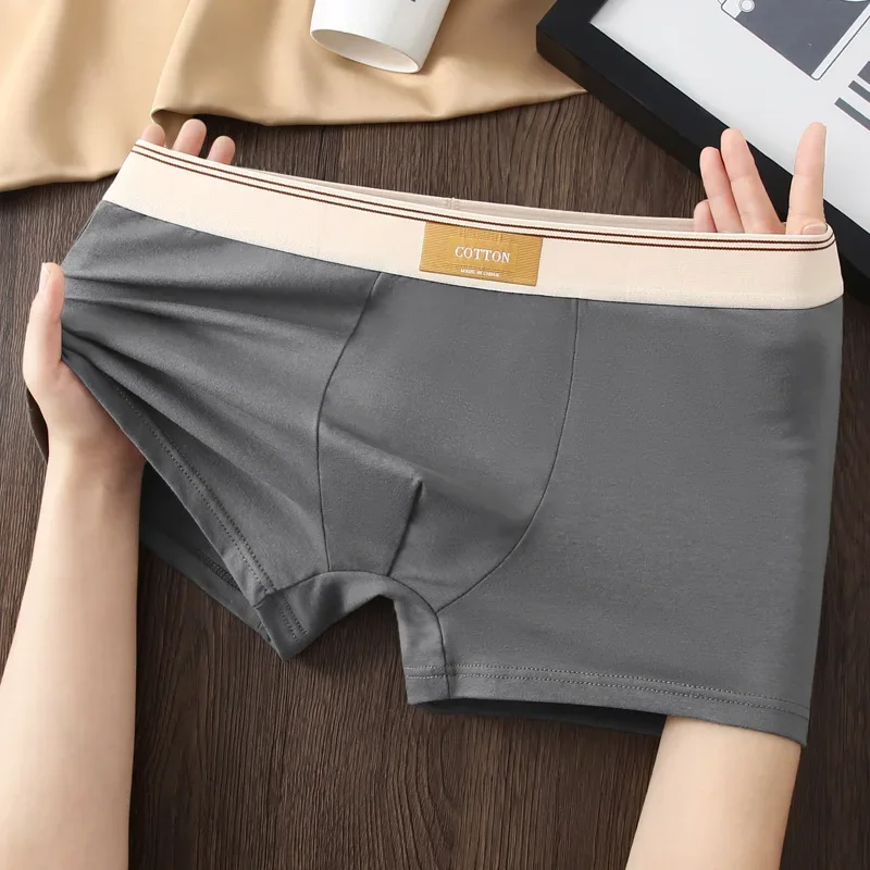 Cotton Theory Boxershorts