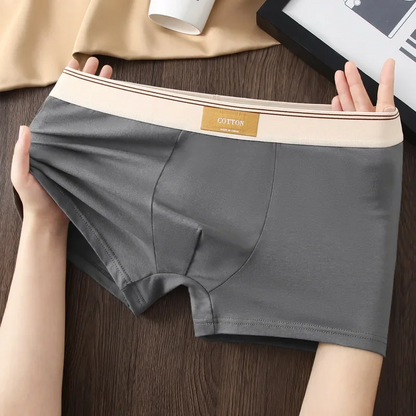 Cotton Theory Boxershorts