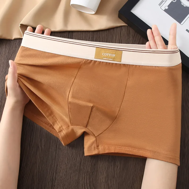 Cotton Theory Boxershorts